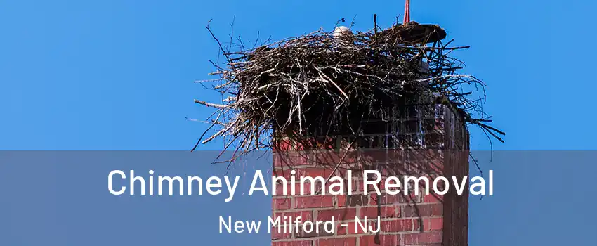 Chimney Animal Removal New Milford - NJ