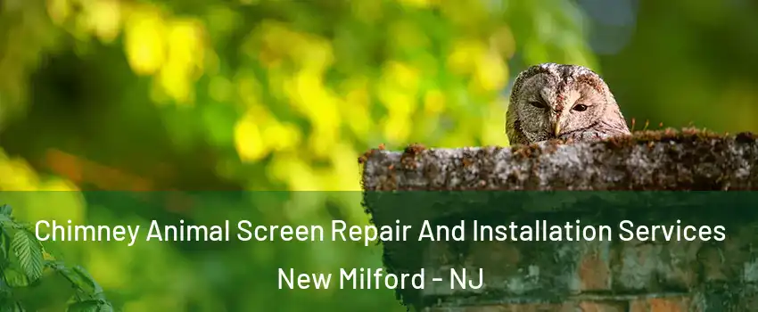 Chimney Animal Screen Repair And Installation Services New Milford - NJ