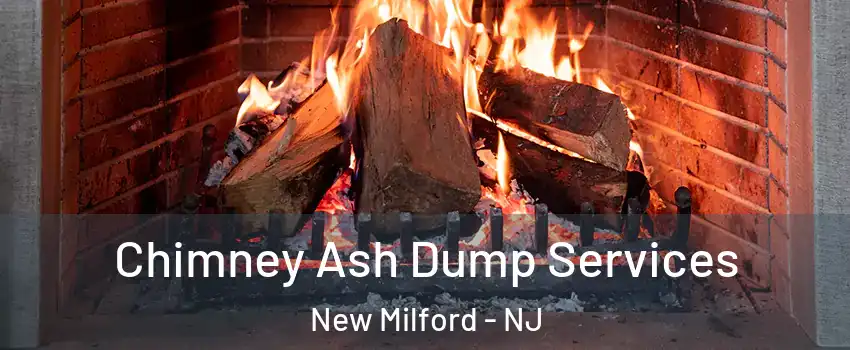  Chimney Ash Dump Services New Milford - NJ