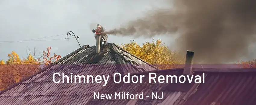  Chimney Odor Removal New Milford - NJ