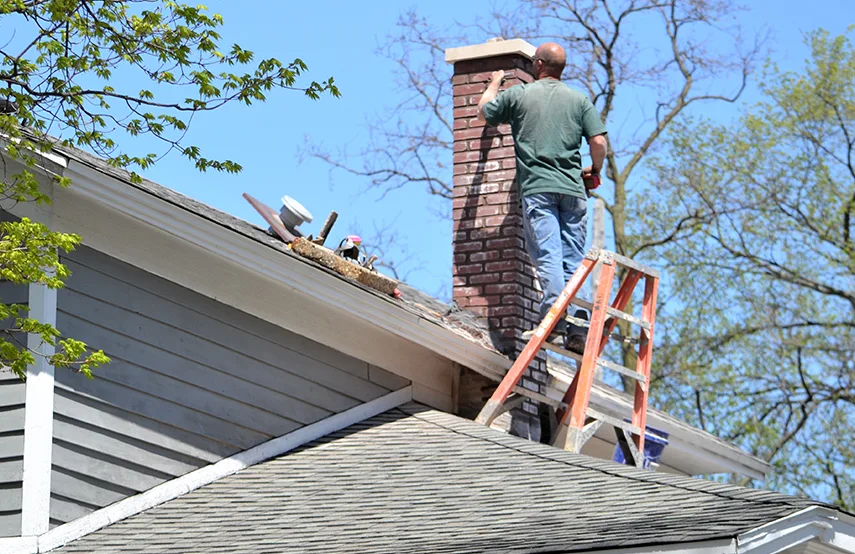 Chimney & Fireplace Inspections Services in New Milford, NJ