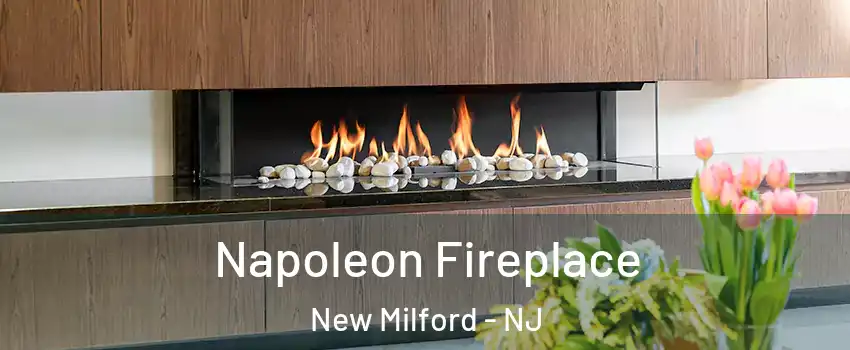  Napoleon Fireplace New Milford - NJ